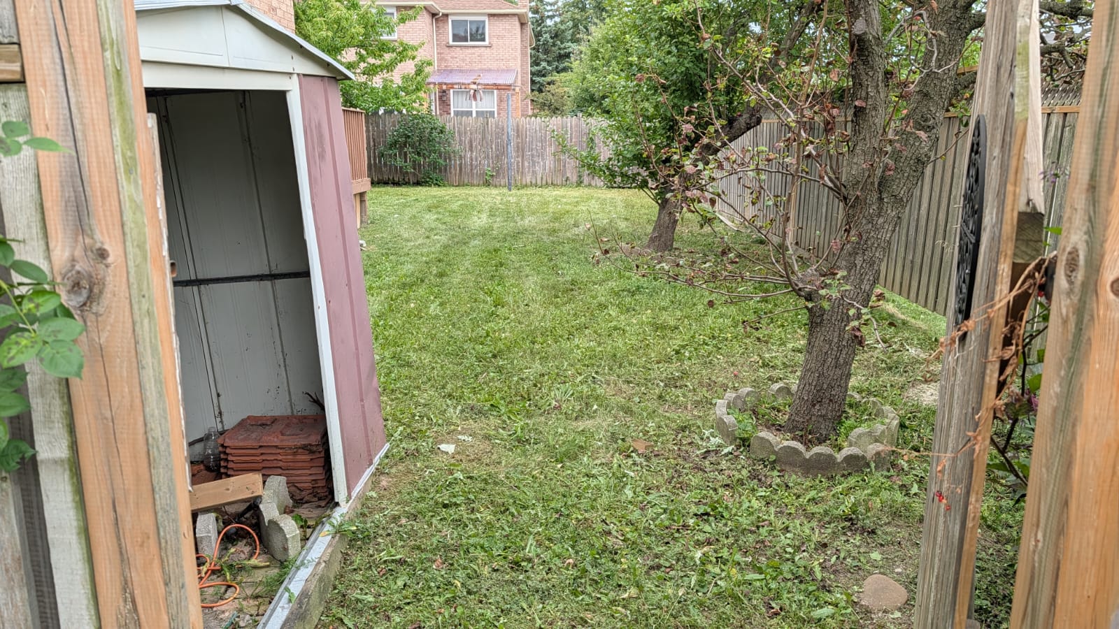 Clean Cut Backyard Lawn After Service Mississauga